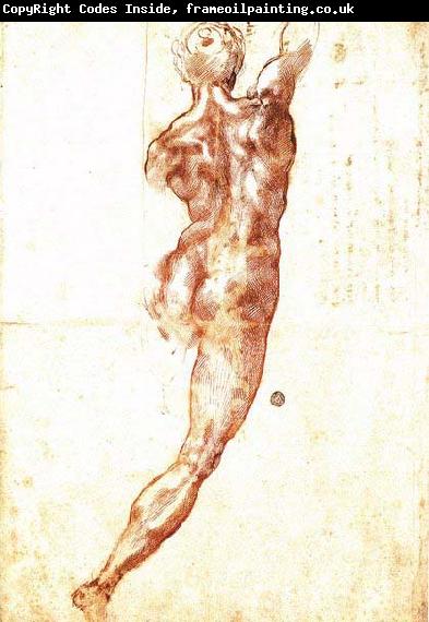 Michelangelo Buonarroti Study for a Nude
